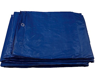 Afdekzeil, 600 x 800 cm, blauw, met zeilringen, waterdicht, 100, economy